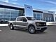 2025 Ford F-150 XLT Oshkosh WI