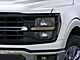 2025 Ford F-150 XLT Oshkosh WI