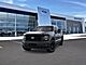 2025 Ford F-150 XLT Oshkosh WI 2025 Ford F-150 XLT Oshkosh WI