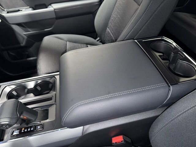 2025 Ford F-150 XLT Pine River MN