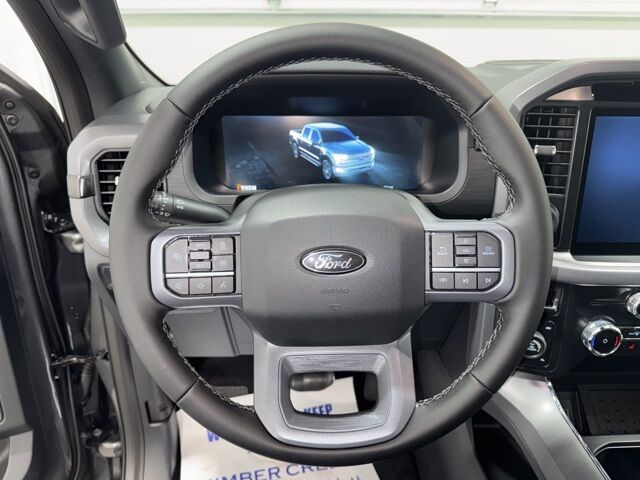 2025 Ford F-150 XLT Pine River MN