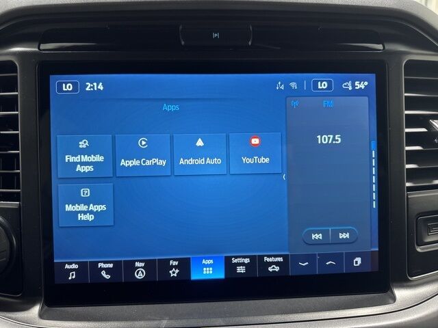 2025 Ford F-150 XLT Pine River MN