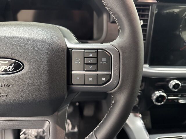 2025 Ford F-150 XLT Pine River MN