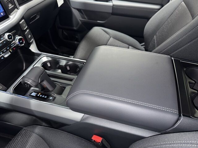 2025 Ford F-150 XLT Pine River MN