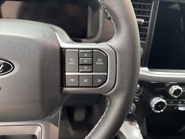 2025 Ford F-150 XLT Pine River MN