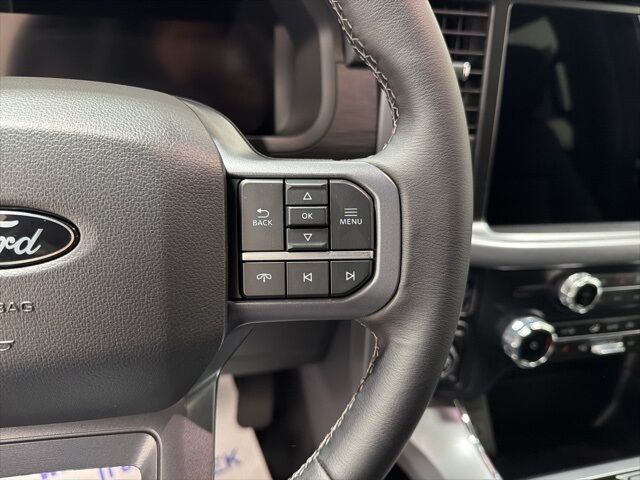 2025 Ford F-150 XLT Pine River MN