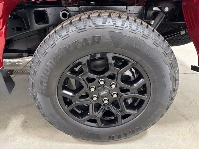 2025 Ford F-150 XLT Pine River MN