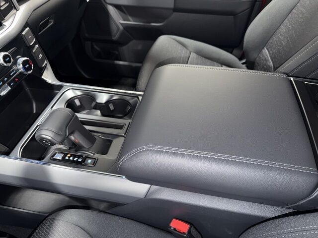 2025 Ford F-150 XLT Pine River MN