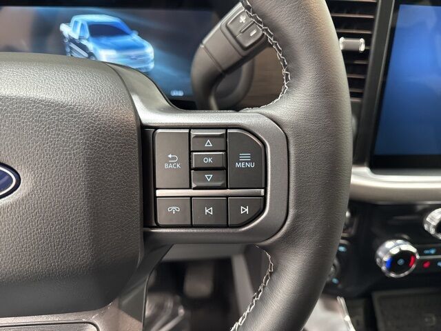 2025 Ford F-150 XLT Pine River MN