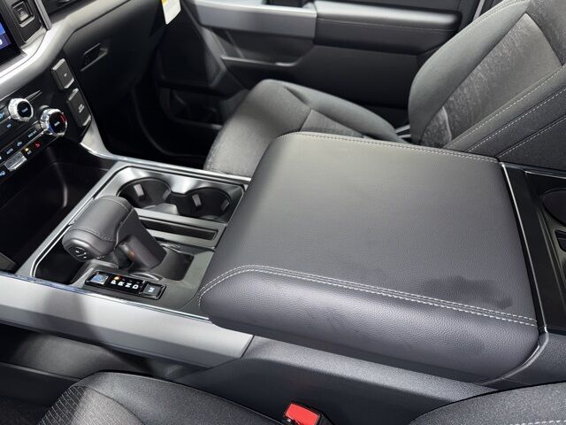 2025 Ford F-150 XLT Pine River MN