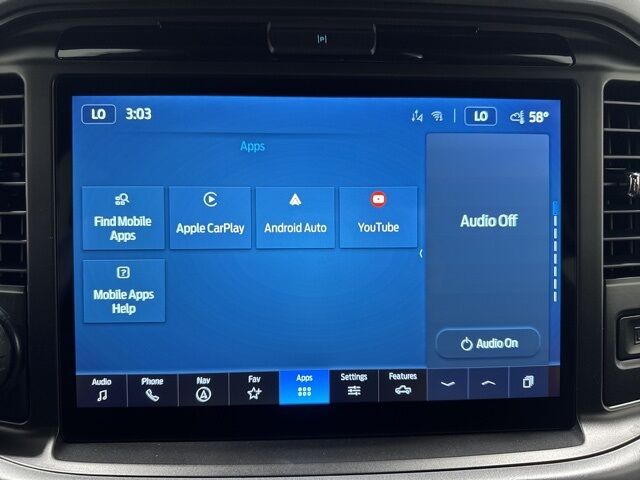 2025 Ford F-150 XLT Pine River MN