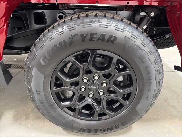 2025 Ford F-150 XLT Pine River MN