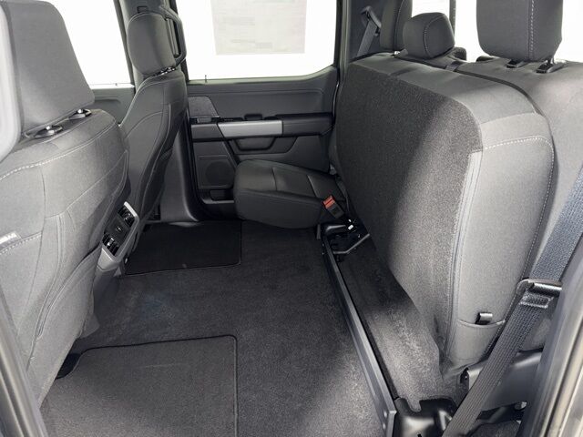 2025 Ford F-150 XLT Pine River MN