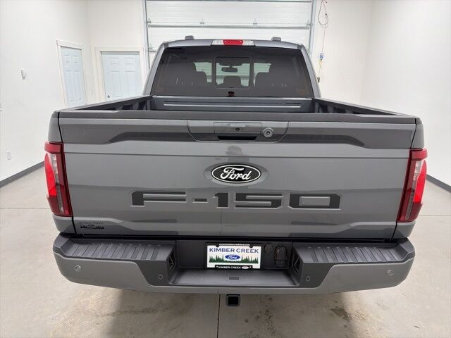 2025 Ford F-150 XLT Pine River MN