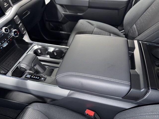 2025 Ford F-150 XLT Pine River MN