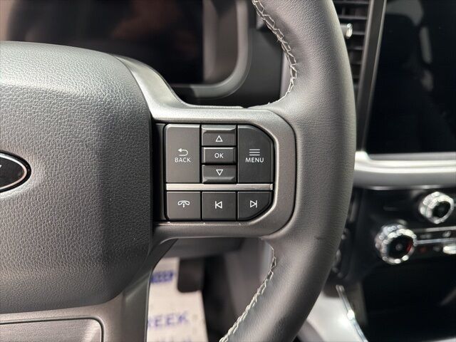 2025 Ford F-150 XLT Pine River MN