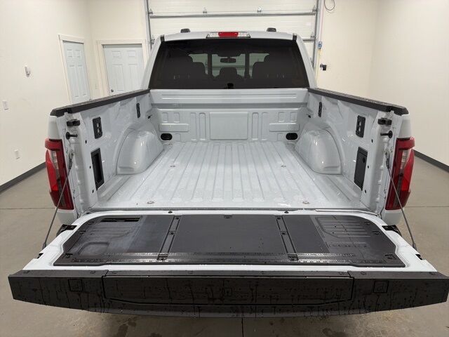 2025 Ford F-150 XLT Pine River MN