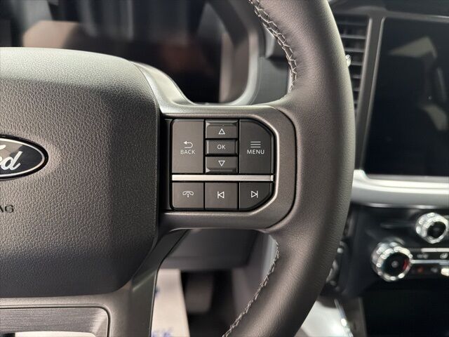 2025 Ford F-150 XLT Pine River MN