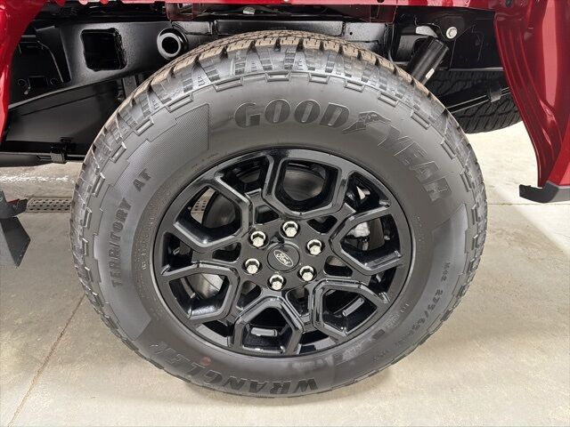 2025 Ford F-150 XLT Pine River MN