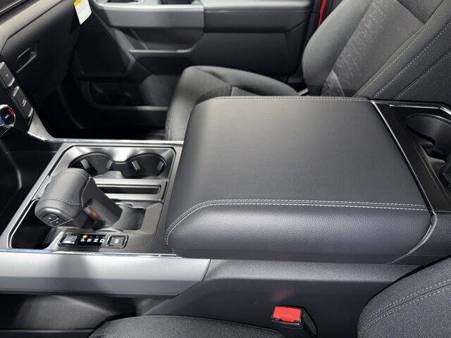 2025 Ford F-150 XLT Pine River MN