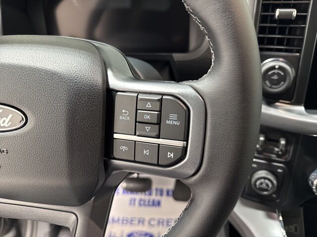 2025 Ford F-150 XLT Pine River MN