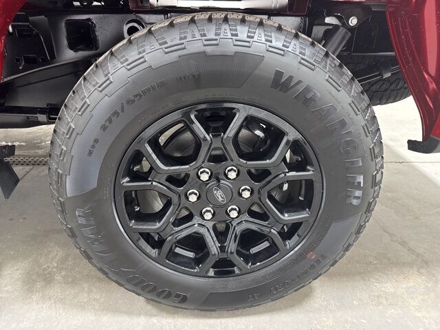 2025 Ford F-150 XLT Pine River MN