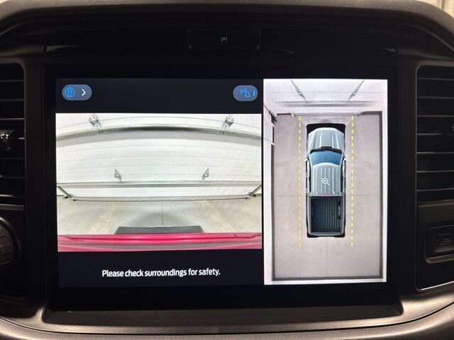 2025 Ford F-150 XLT Pine River MN