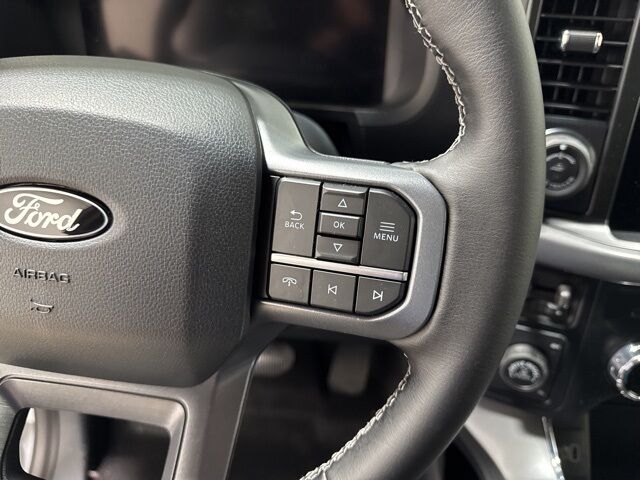 2025 Ford F-150 XLT Pine River MN