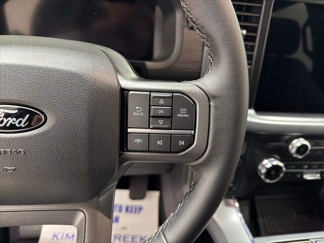 2025 Ford F-150 XLT Pine River MN