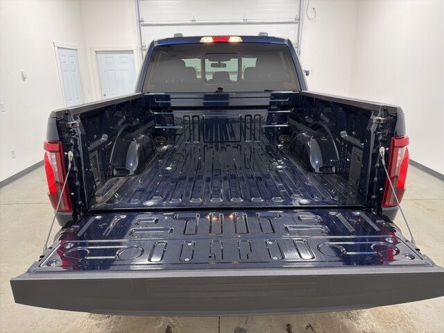 2025 Ford F-150 XLT Pine River MN