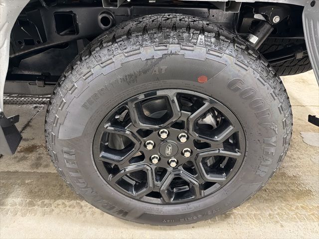 2025 Ford F-150 XLT Pine River MN