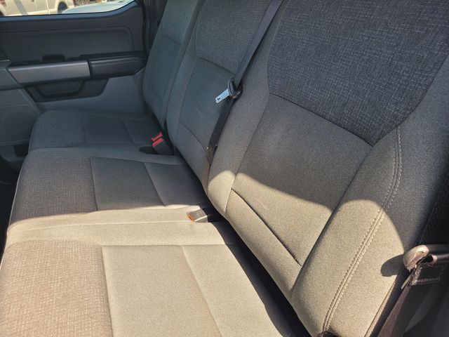 2025 Ford F-150 XLT Roseville CA