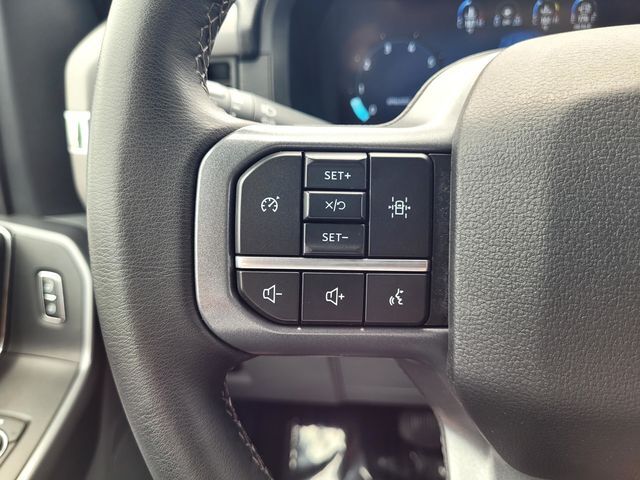 2025 Ford F-150 XLT Roseville CA