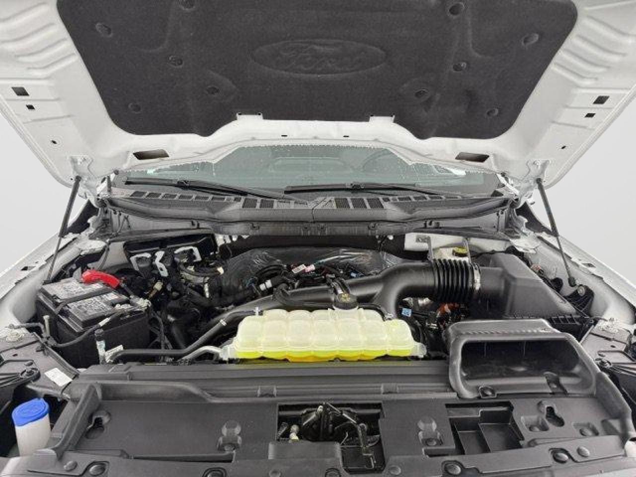 2025 Ford F-150 XLT New Braunfels TX