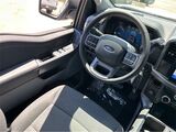 2025 Ford F-150 XLT San Diego County CA