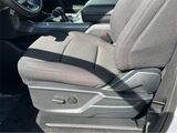2025 Ford F-150 XLT San Diego County CA