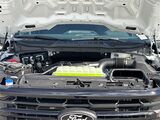 2025 Ford F-150 XLT San Diego County CA