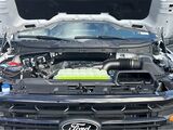 2025 Ford F-150 XLT San Diego County CA