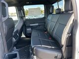 2025 Ford F-150 XLT San Diego County CA