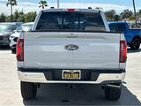 2025 Ford F-150 XLT San Diego County CA