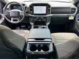 2025 Ford F-150 XLT San Diego County CA