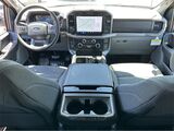 2025 Ford F-150 XLT San Diego County CA
