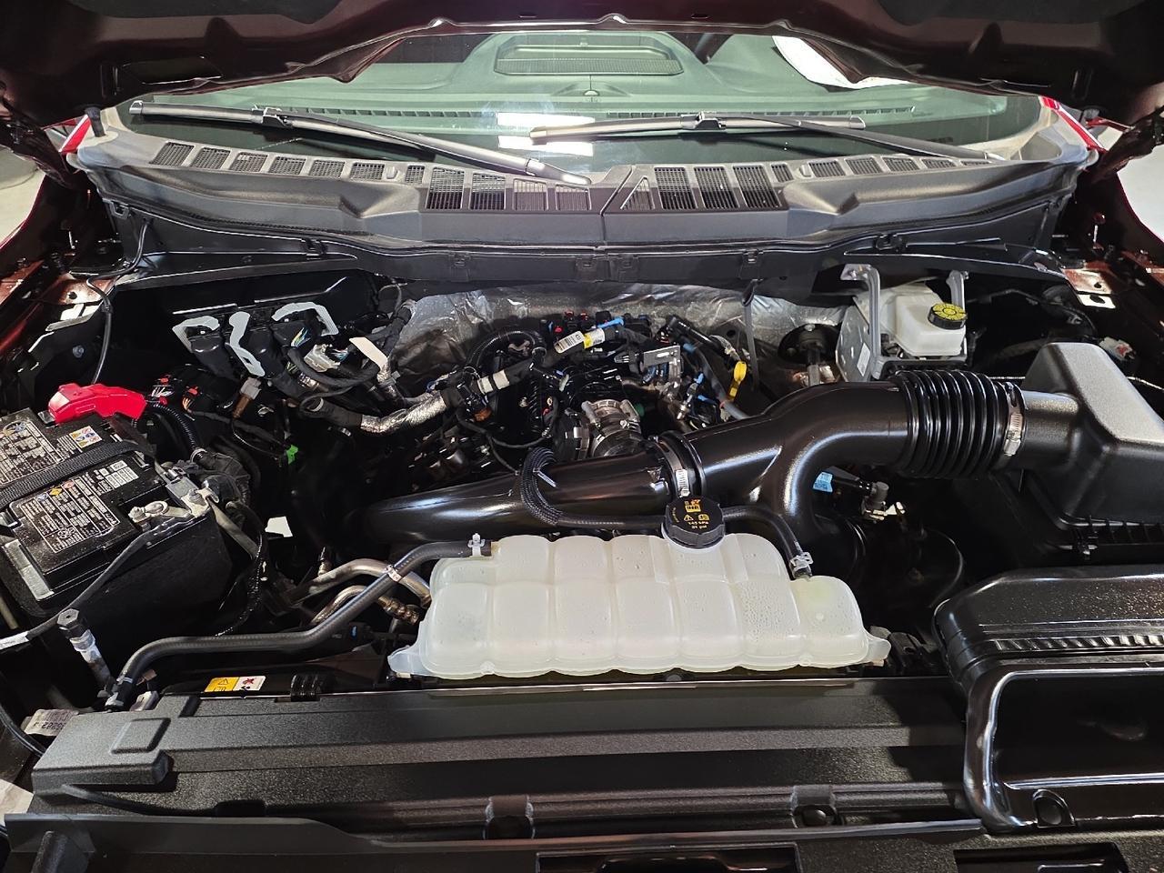 2025 Ford F-150 XLT Sand Lake NY