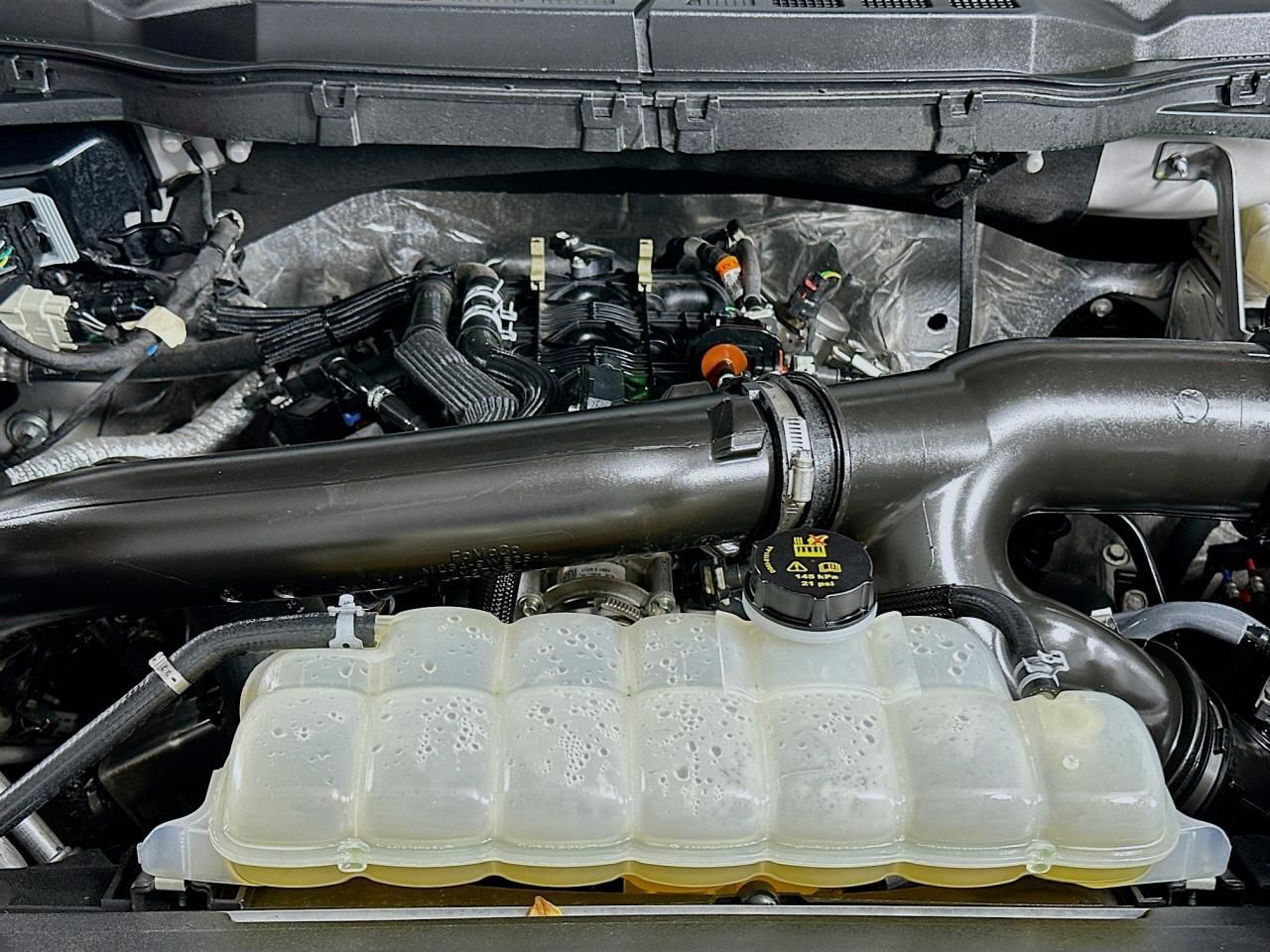 2025 Ford F-150 XLT Tacoma WA