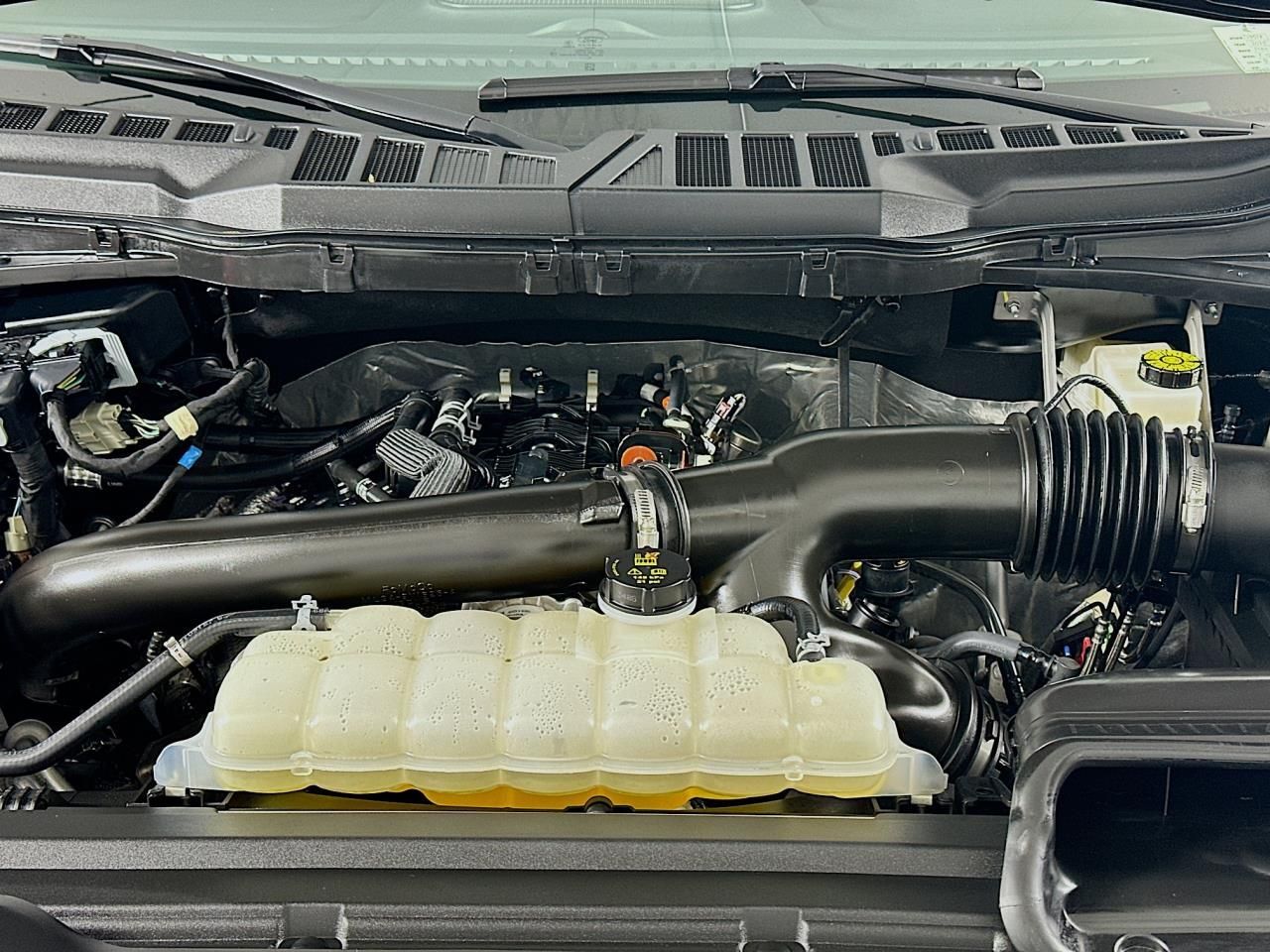 2025 Ford F-150 XLT Tacoma WA