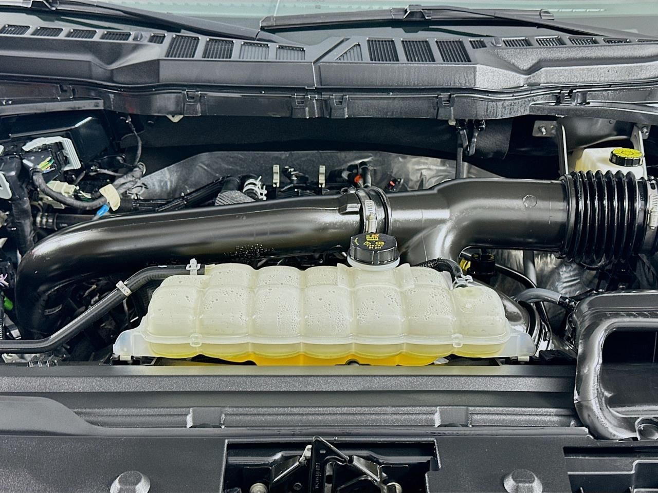 2025 Ford F-150 XLT Tacoma WA