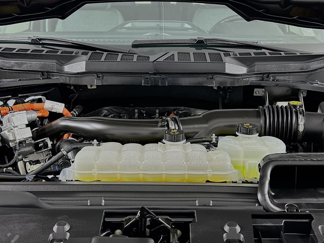 2025 Ford F-150 XLT Tacoma WA