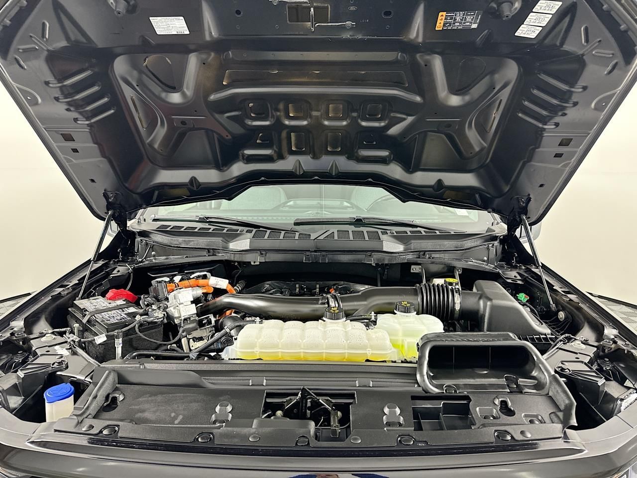 2025 Ford F-150 XLT Tacoma WA