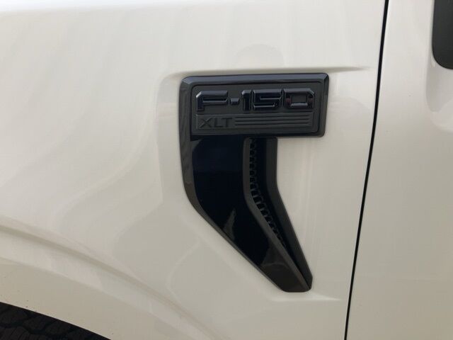 2025 Ford F-150 XLT Watertown SD