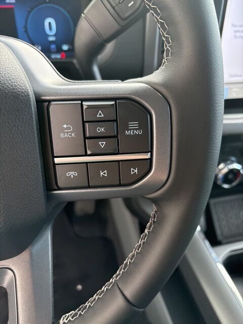 2025 Ford F-150 XLT Watertown SD